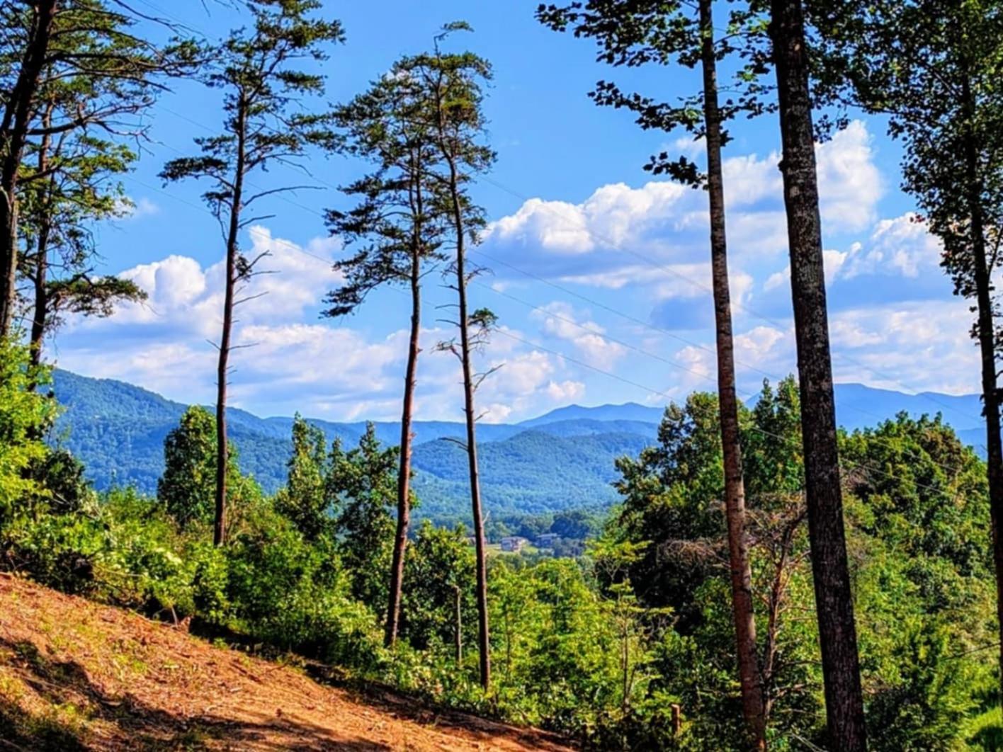 Lil Cabin In The Cove! Mtn Views, Theater, Hot Tub, Games, King Beds, Prime Location! เซอเวียร์วีล ภายนอก รูปภาพ